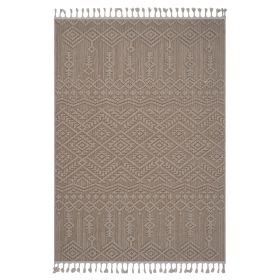 5X7 Natural /Traditional Indoor/Outdoor Area Rug