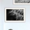 Trendy Decor 4U "Delicate Beauty and Love" Framed Wall Art for Living Room, Wall Art Print for Home Decor, Bedroom Wall Art by Lori Deiter